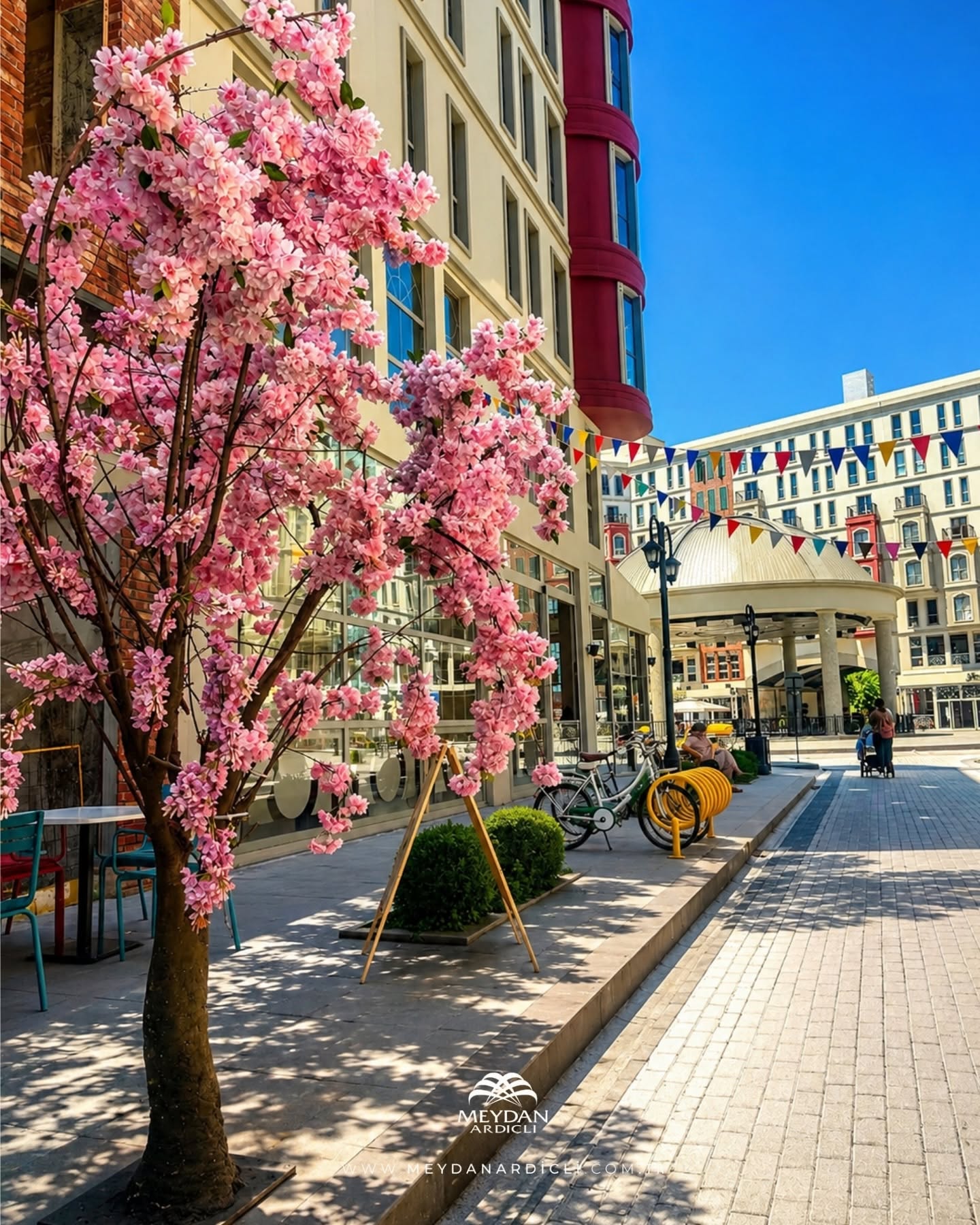 Meydan Ardıçlı Sokak yaşamı ve peyzaj
